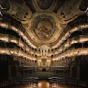 Meet your Posher, Elly